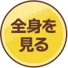 全身を見る