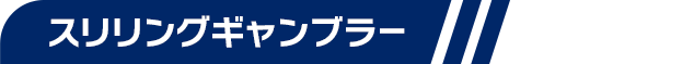 スリリングギャンブラー