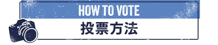 HOW TO VOTE 投票方法