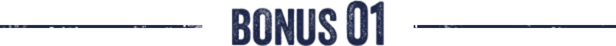 BONUS 01