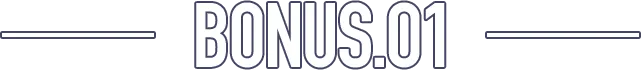 BONUS.01